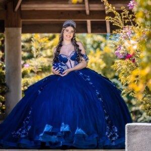Customized royal blue V-neck Quinceanera Dress Tull crystal Lace gemstone 3D flower layering vestidos de 15 Quinceanera