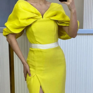 Little Daisy Customized   Simple Modern Style Formal Evening V-Neck A-line Pleat Floor-Lengths Bespoke Occasion Dresses