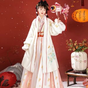 Hanfu women Chinese style round neck warm new gown on the front stand collar skirt suit
