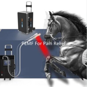 Veterinary Device PEMF Physio Magnetic Therapy EMTT Machine With Water Cooling System