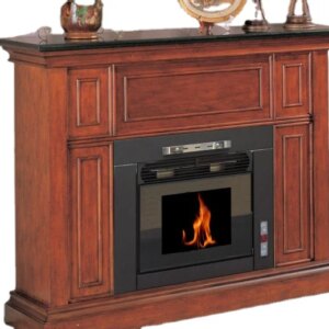 European Style Professional Technology Wood Biomass Pellet Stove With Low Price