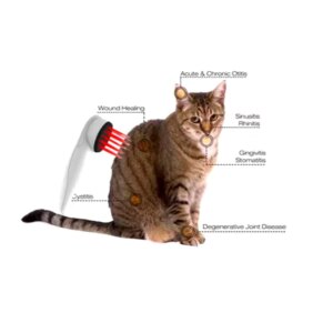 Veterinary Use Devices Portable Handheld Led Display Lllt Low Level Cold Laser Therapy Animals Pets Wound Healing Machine