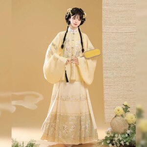 New Ming Adult Women’s Han Chinese Clothing Stand Collar Embroidery Patch Pipa Sleeve Horse-Face Skirt Autumn and Winter