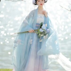 Women’s Fresh Hanfu Complete Set – Hezi Skirt with Wide Sleeve Blouse – Waist-High Chinese Elements Spring Summer New Fairy Styl