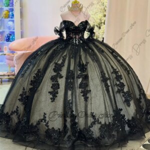 Elegent Lace Appliques Ball Gown Quinceanera Dresses Tulle Train Sweet 16 Dress Birthday Gowns Customized Vestidos De XV Años