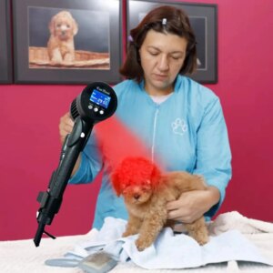 Animal Therapy Machine 808nm 650nm Lllt Hot SaleVeterinary Laser Device For Physiotherapy Equipment