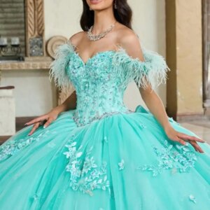 Customized luxury V-neck feather Quinceanera Dress applique Tull Lace flower Bow vestidos de 15 Quinceanera 