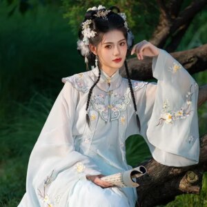 Hanfu suit, Chinese style, Tang Song style, gradient color embroidered large sleeved shirt, retro fairy costume