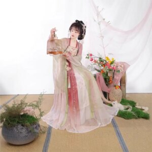 Adult Hanfu heavy industry embroidery a chest-length ruqun photography female fairy set