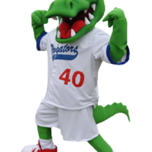 aligator mascot costume gator custom fancy costume anime cosplay kit mascotte theme fancy dress carnival costume b0428