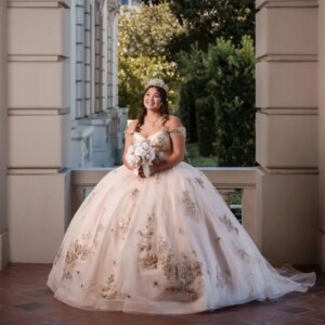 Customized light colour Off Shoulder V-neck Quinceanera Dress applique Tull Lace vestidos de 15 Quinceanera 