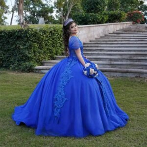 Customized Blue Fashionable Short Sleeves Quinceanera Dress for Lady Appliques Lacing up Pageant Gowns Vestidos De 15 Anos