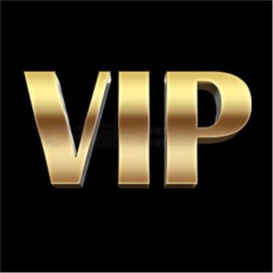 VIP Customer Pay LINK FOR Special Jewelry