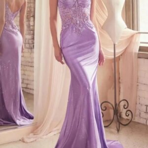 Customized Mermaid Evening Formal Dresses Spaghetti Strap Lace Applique Sheer Bodice Long Women Wedding Guest Party Gown Prom