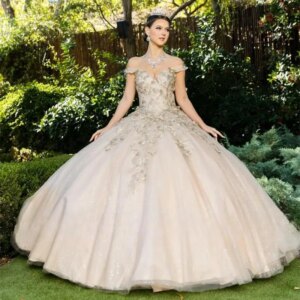 Customized Classic Butterfly Applique 15 Quinceanera Ball Gown Off the Shoulder Court Lace up Vestido De Graduaction
