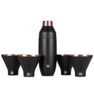 Stainless Steel Cocktail Shaker and Martini Glass Set Black