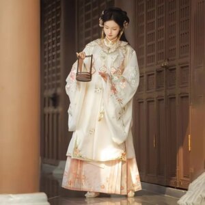 Hanfu suit, Chinese style, Tang Song style, gradient color embroidered large sleeved shirt, retro fairy costume