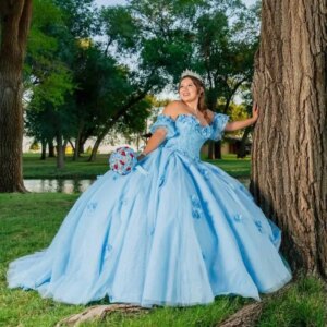 Customized Shiny Sky Blue Shiny Quinceanera Dress Ball Gown Floral Applique Corset Sweet 16 Vestido De 15 Anos