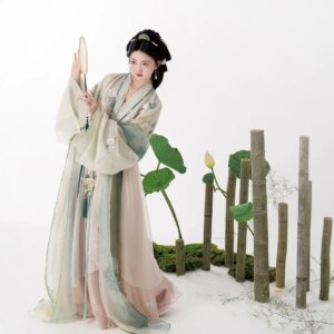 2024 Selected New Song Style Spring and Autumn of a Lady Placket Shirt One-Piece Broken Skirt Super Ancient Costume Temperament