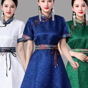 New Women’s Mongolian Robe Performing Costumes Daily Popular Short Skirt