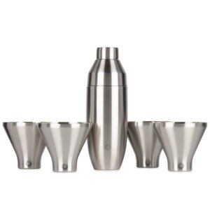 Stainless Steel Cocktail Shaker and Martini Glass Set Steel