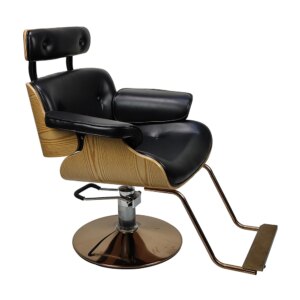 DTY Modern Wood Beauty Salon Furniture Equipment All Purpose Hair Barber Hairdresser Styling Chair
