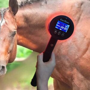 25diodes Healing Laser Light 808nm Cold Laser Physical Therapy Machine for Human for Dogs Cats Horses for Home or Clinice Use
