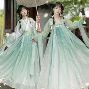 Embroidered Waist Cross-Collar Ruqun Suit Hanfu Female Student Chest Print Spring and Autumn