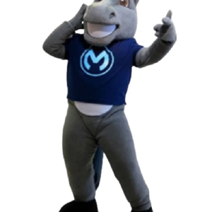 mulesoft mule mascot costume custom fancy costume anime cosplay kit mascotte theme fancy dress carnival costume b0001