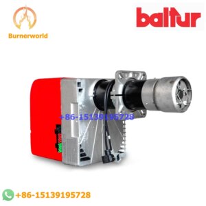 Original Baltur Gas Burner BTG11 NPG/LPG Boiler Burner