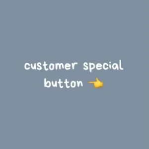 Customer’s customized dress payment link