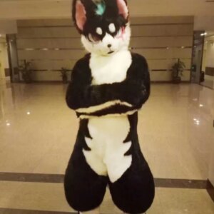 Long Fur Husky Dog Fox Mascot Costume Fursuit Halloween Suit Cosplay Cartoon Outfits