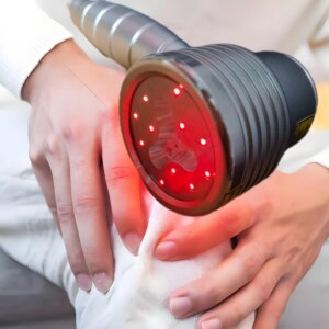New 808nm 650nm Equipment Red Light Laser Therapy Equipment Cold Laser Physiotherapy Equipment for Arthritis Pain Relief
