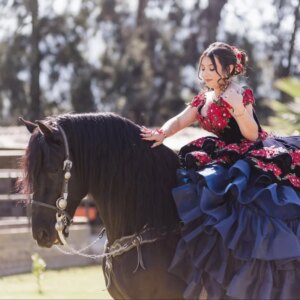 Customized black Quinceanera Dress Off Shoulder Lace sequin applique flower crystal Tull layering vestidos de 15 Quinceanera