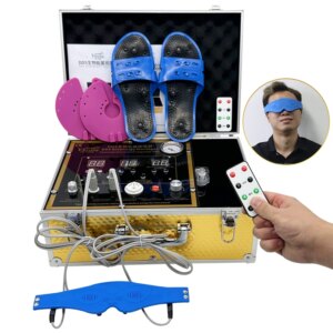 DDS Physical Therapy Acid-Base Balance Physical Therapy Massager Meridian Pulse Physical Therapy Frequency Massager