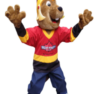 Beaver Philthy mascot costume custom fancy costume anime cosplay kit mascotte theme fancy dress carnival costume b0441