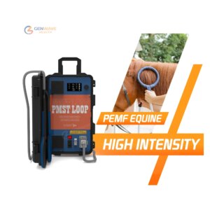 Pet Physiotherapy PMST Loop for Reducing Inflammation and Promoting Circulation in Dogs and Cats physiotherapy