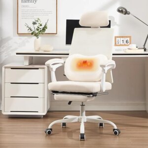 Qulomvs Ergonomic Office Chair with Massage&Heated Lumbar Support, Kneading Massage Office Chair