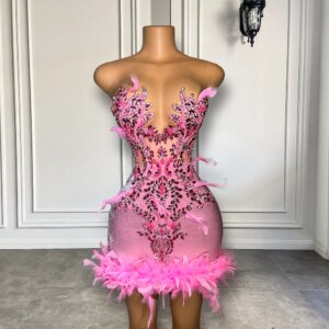 Beautiful Sheer O-neck Sleeveless Women Birthday Party Formal Gowns Pink Feather Black Girl Short Prom Dresses 2025