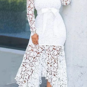 Plus Size Formal Sheer Maxi Dresses Long Sleeve Lace