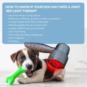 Cold Laser Therapy Red Light Physiotherapy Equipment 808nm 650nm For Human Pet Pain Relief Wound Healing 16 Diodes