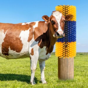 Factory Supply Customized Cow Body Massage Stand Brush No Power Needed