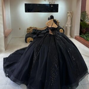 Exquisite Black Princess Ball Gown Quinceañera Dress Beading Sequins Appliques With Bow Birthday Party For 15th Girls Customized