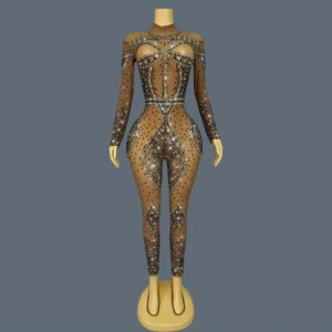 Club Party Gig Stage Performance Wear See Through Mesh Bodycon Jumpsuit For Women Carnival Event Shine Rhinestone Jumpsuit Moyu