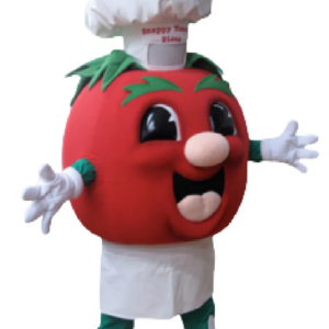 Tomato Snappy mascot costume custom fancy costume anime cosplay kit mascotte theme fancy dress carnival costume b0611