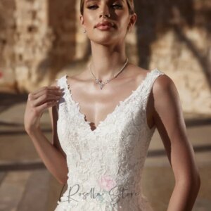 LRosella V-neck Sleeveless Lace Applique Sweep Train Backless 2025 Tulle Bridal Gown Customized A-line Wedding Dresses