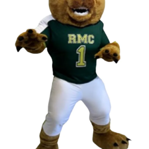 college bear mascot costume brown bear custom fancy costume anime cosplay kit mascotte theme fancy dress carnival costume b0114
