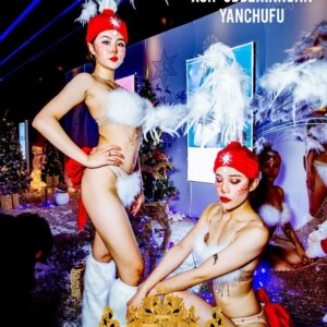 Nightclub gogo women’s Christmas feather girl cloak costume DS Christmas