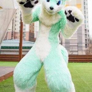 High Quality Fursuit Canine Husky Dog Mascot Costumes Handmade