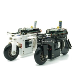 Open Source Stm32 Balance Robot Bike Cubli Inertial Momentum Wheel Balance Diy Pid Bluetooth Remote Control Small Bike